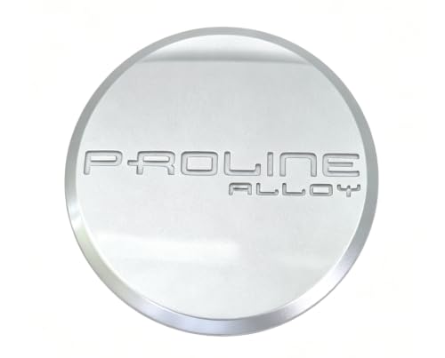 Silver C569-1 Wheel Center Cap 1Pc