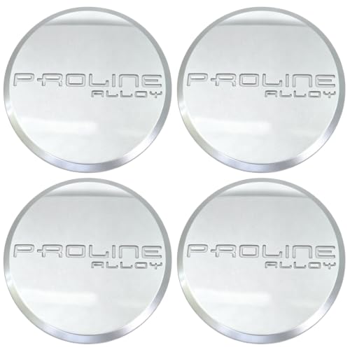 Silver C569-1 Wheel Center Cap 4Pcs